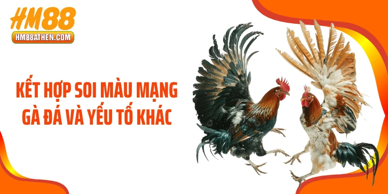 Kết hợp soi màu mạng gà đá và yếu tố khác