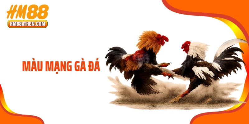 Màu Mạng Gà Đá HM88 - Vũ Khí Bí Ẩn Trong Mỗi Lần Ra Kèo