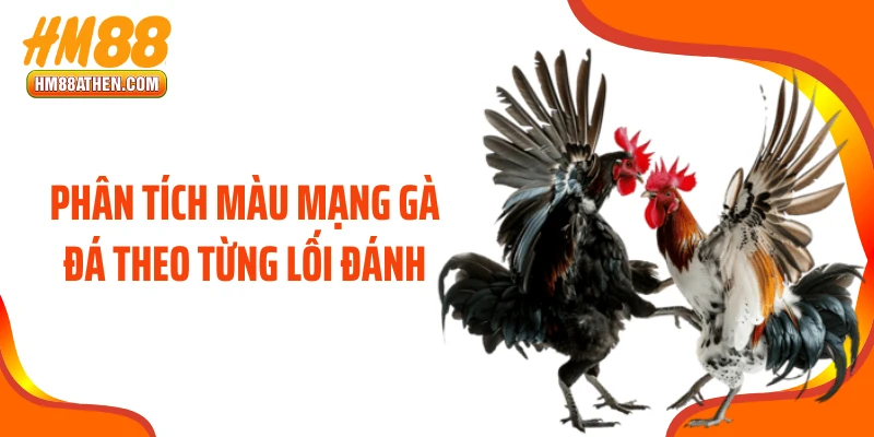 Phân tích màu mạng gà đá theo từng lối đánh